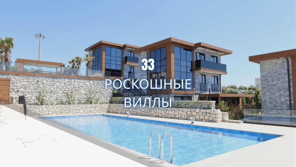 portfolio-image